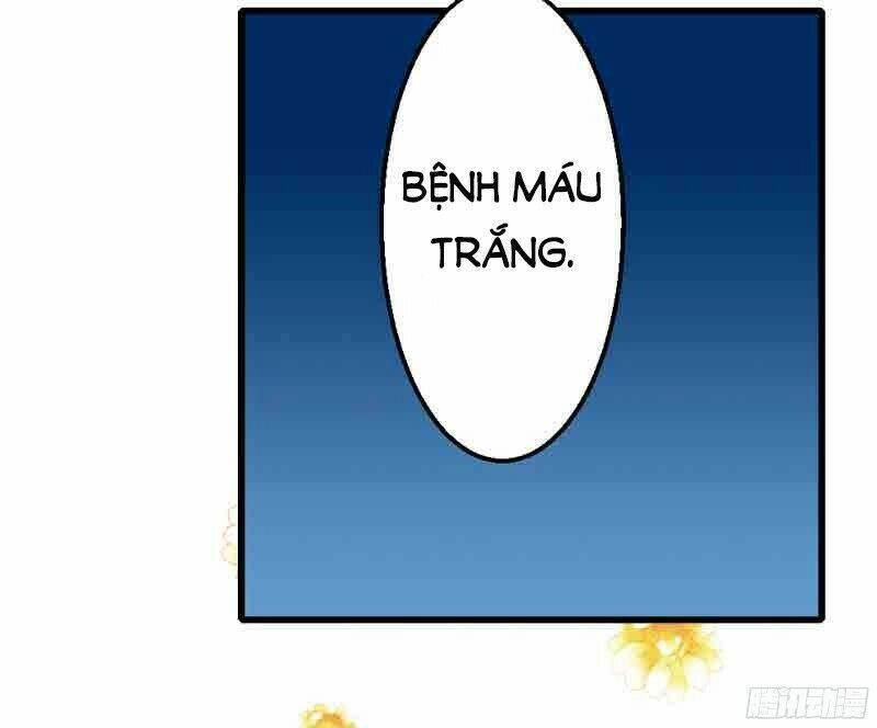 Ác Ma Chủ Tịch Xin Buông Tay Chapter 1 - 33