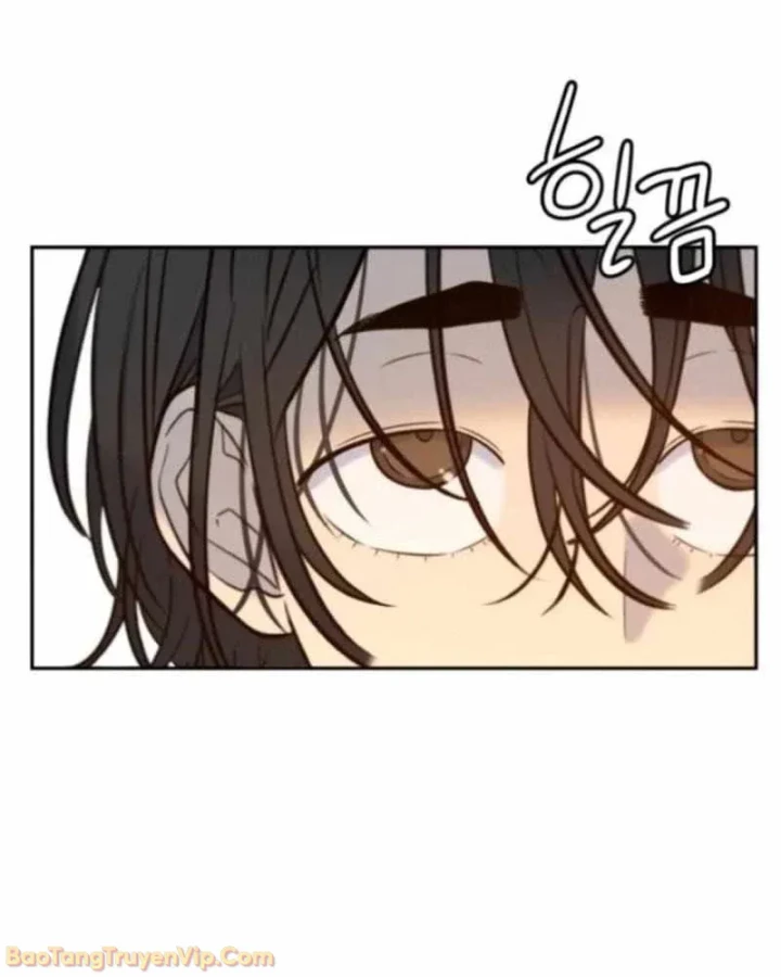 Mọi Người Đều Yêu Cô Ấy Chapter 42 - 48