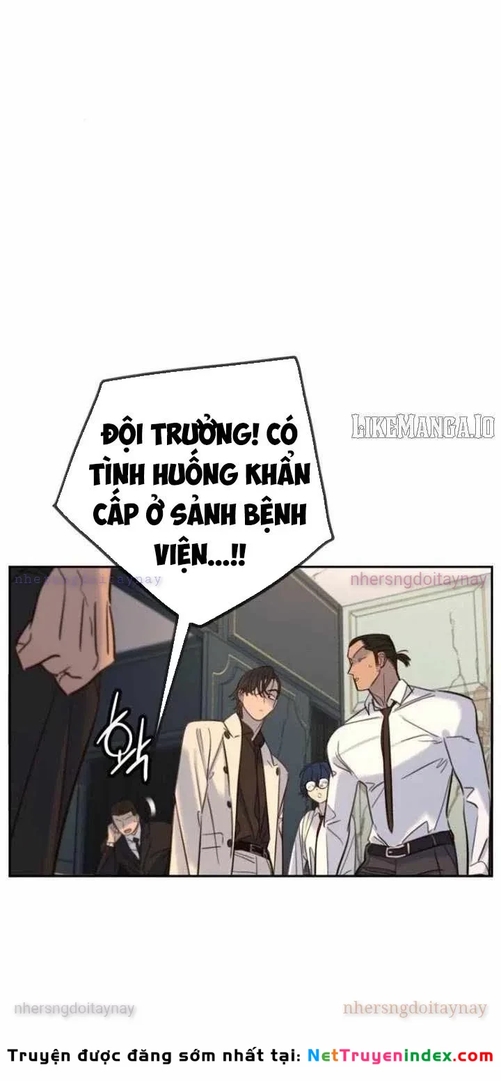 Mọi Người Đều Yêu Cô Ấy Chapter 33 - 49