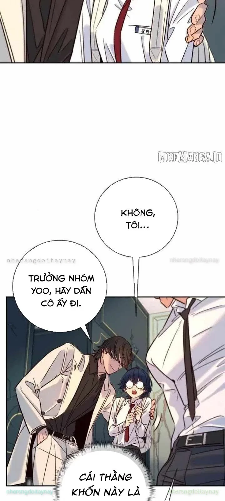 Mọi Người Đều Yêu Cô Ấy Chapter 33 - 67