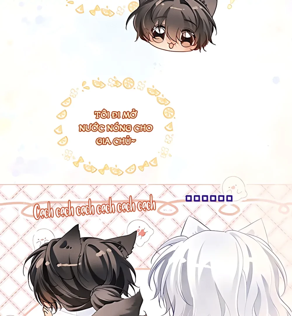 Thiết Lập Yêu Cầu Em Yêu Tôi Chapter 32 - 21