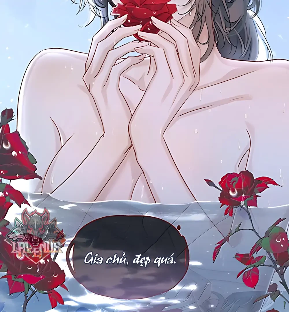 Thiết Lập Yêu Cầu Em Yêu Tôi Chapter 32 - 68