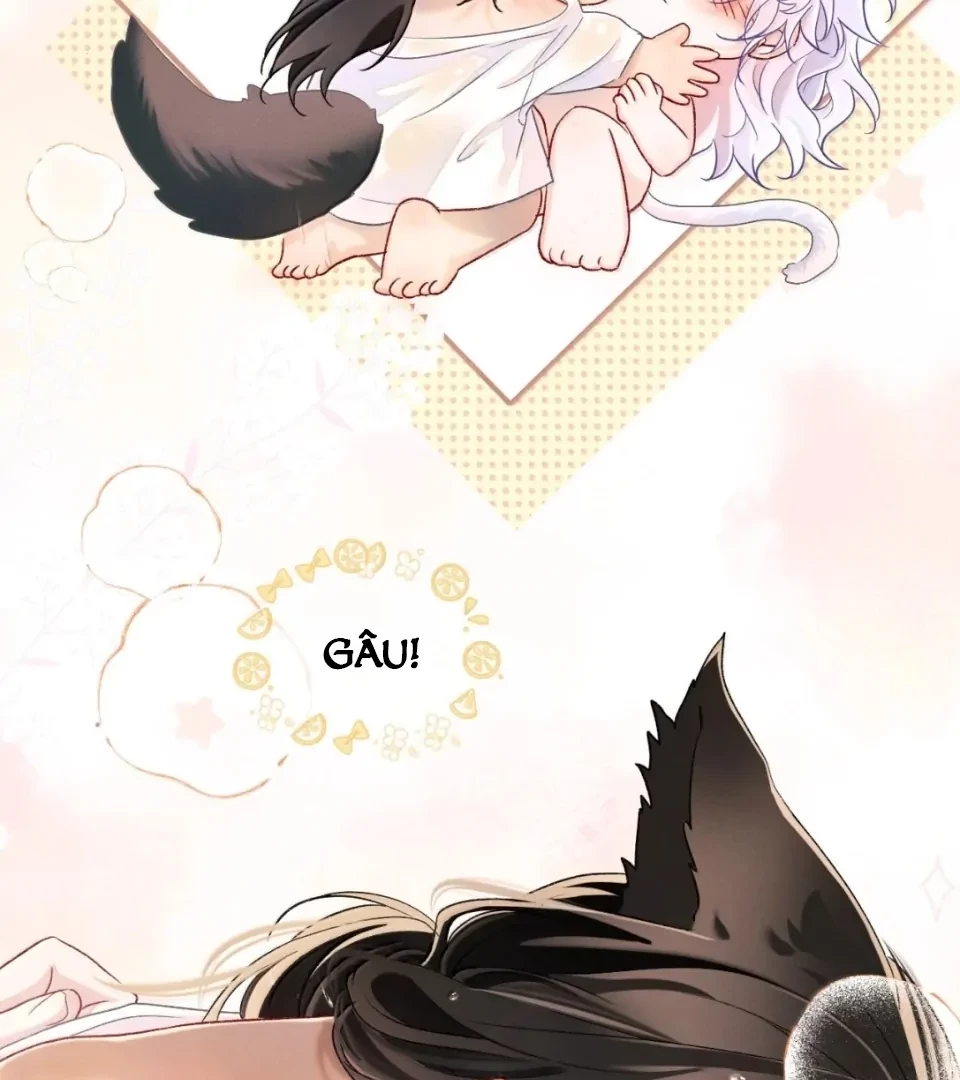 Thiết Lập Yêu Cầu Em Yêu Tôi Chapter 33 - 10