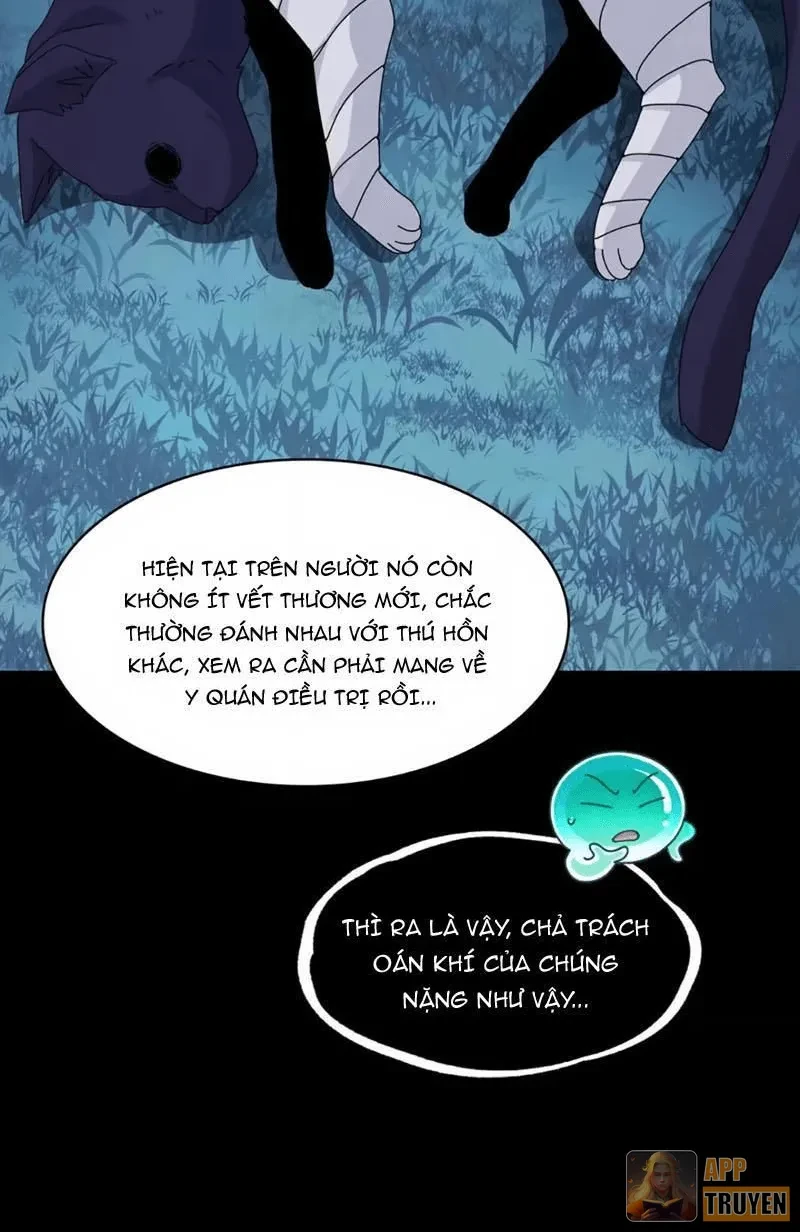 Trước mặt bệnh tâm thần, quỷ dị chẳng là gì cả Chapter 221 - 42