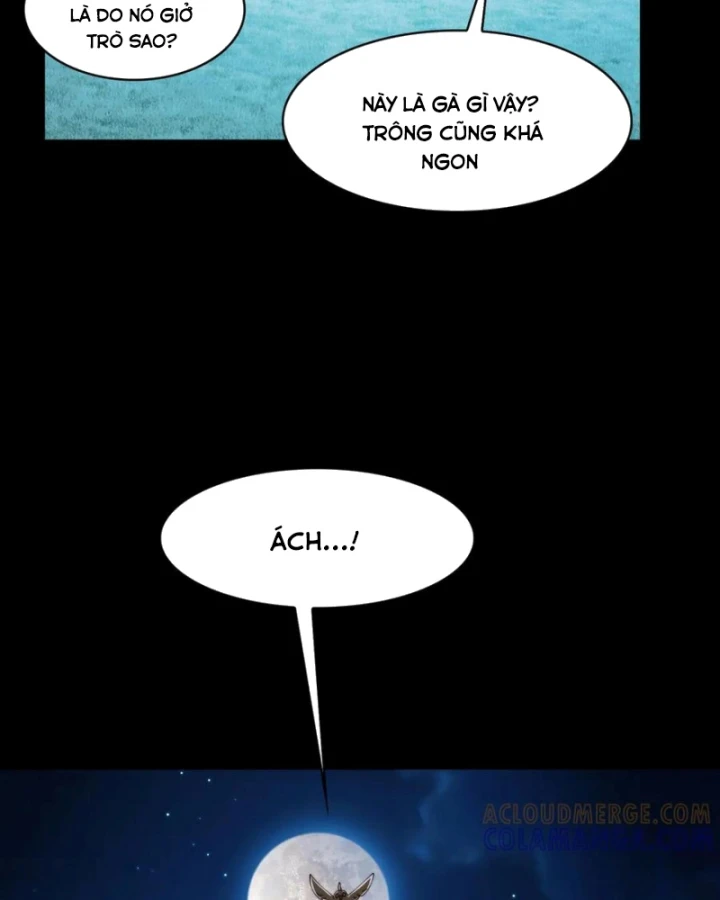 Trước mặt bệnh tâm thần, quỷ dị chẳng là gì cả Chapter 167 - 59