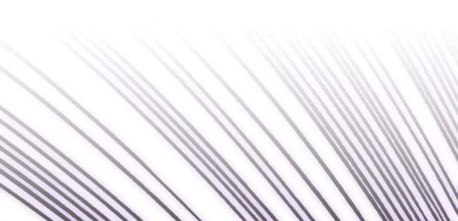 Phá Bỏ Giới Hạn Chapter 47 - 214