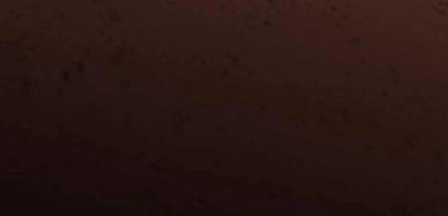 Phá Bỏ Giới Hạn Chapter 50.5 - 249