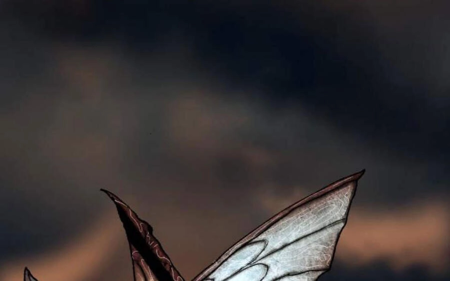 Phá Bỏ Giới Hạn Chapter 58.5 - 210