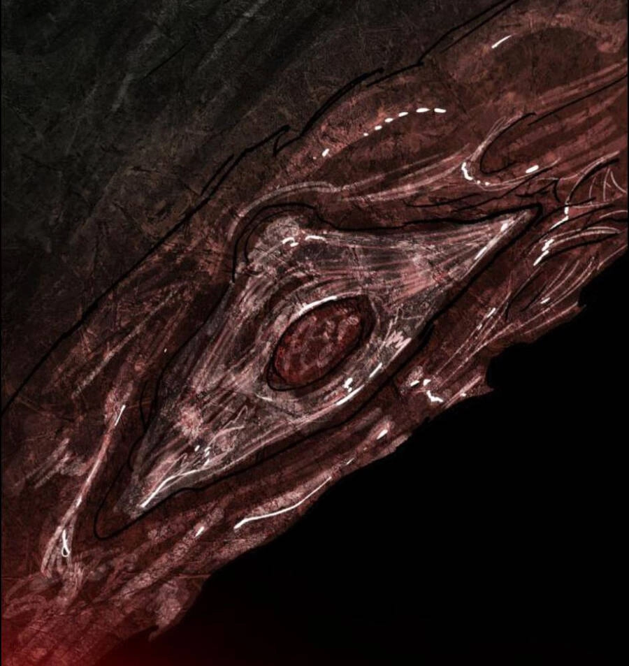 Phá Bỏ Giới Hạn Chapter 63 - 260