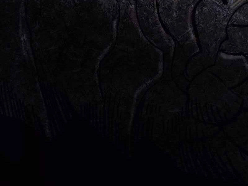 Phá Bỏ Giới Hạn Chapter 69.5 - 142