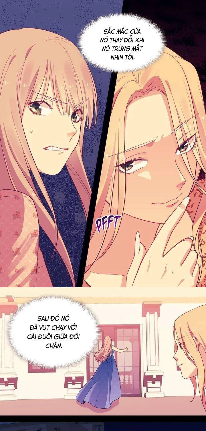 Con Đường Trở Thành Vị Hôn Thê Của Công Tước Chapter 21 - 5