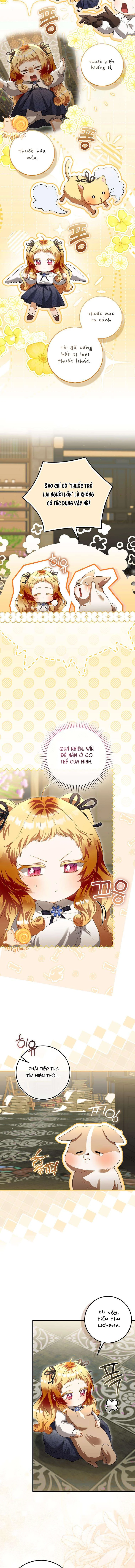 Nàng Tiên Bé Con Là Nhân Vật Phản Diện Chapter  48 - 11