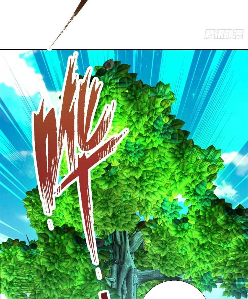 Thần Hồn Võ Đế Chapter 242 - 42