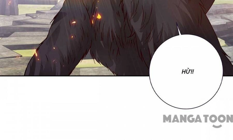 Thần Hồn Võ Đế Chapter 290 - 12