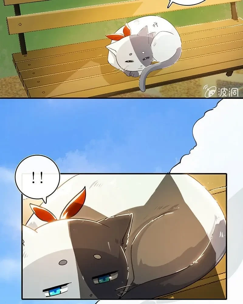 Bạn Gái Sạc Pin Của Tôi Chapter 71 - 20