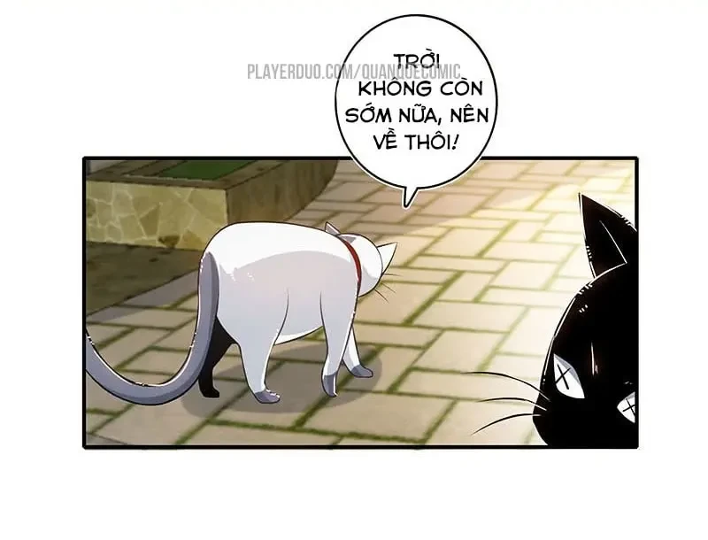 Bạn Gái Sạc Pin Của Tôi Chapter 71 - 35