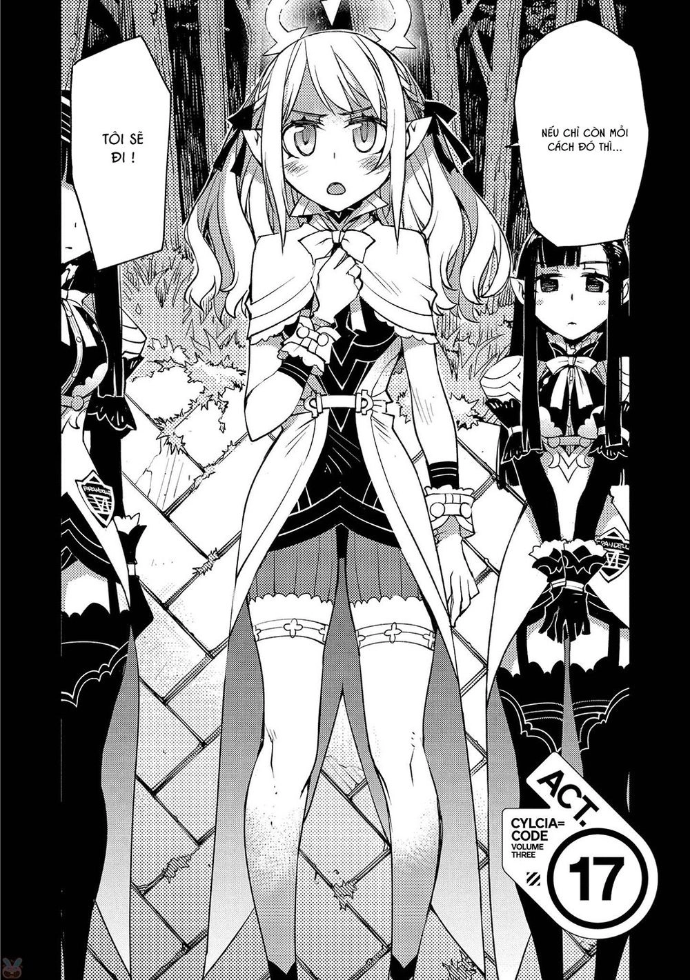 Cylcia = Code Chapter 17 - 3