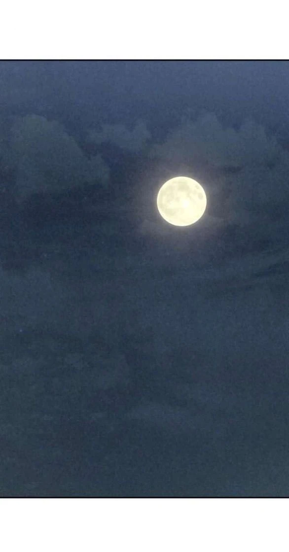 Vì Tôi Đã Giết Người Chapter 49.2 - 11