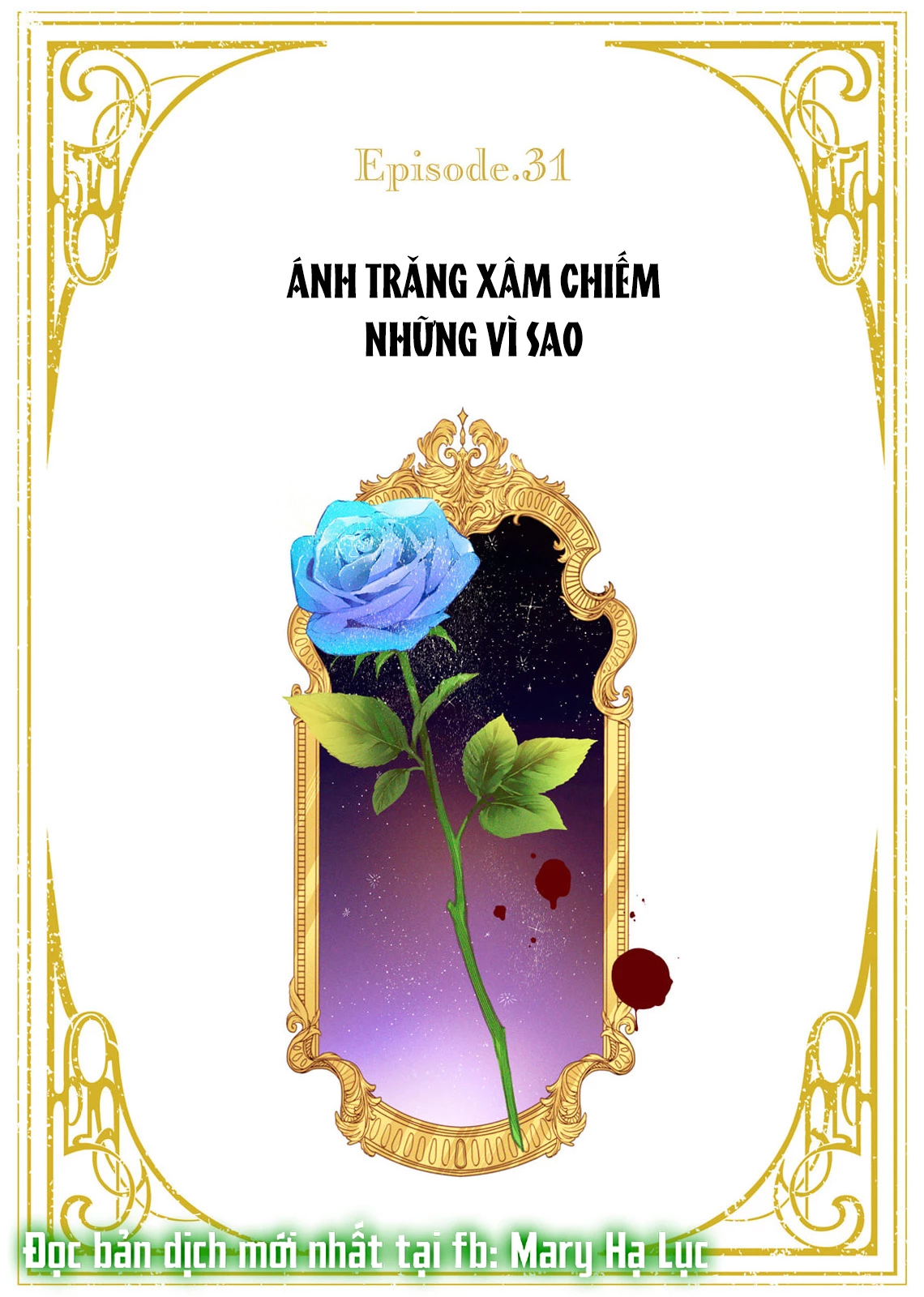 Sao Băng Ẩn Trong Hoa Chapter 31.1 - 2