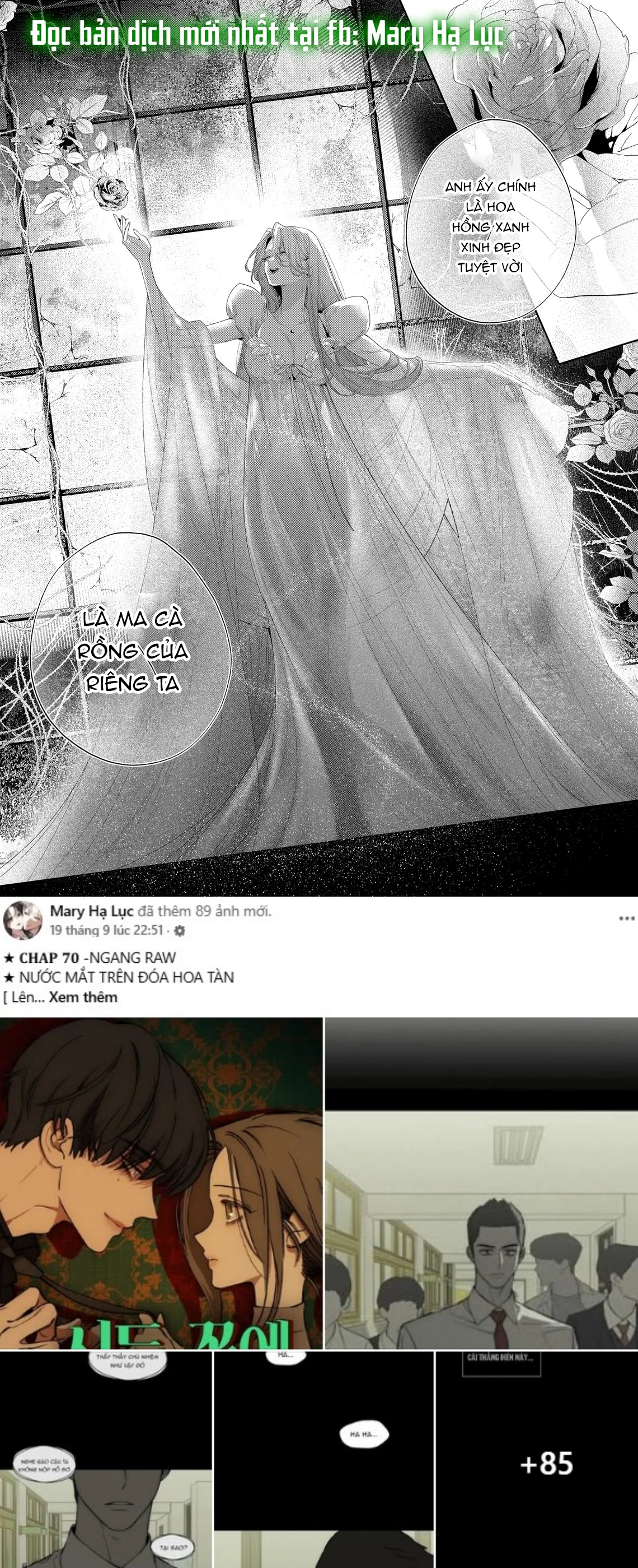 Sao Băng Ẩn Trong Hoa Chapter 31.1 - 10