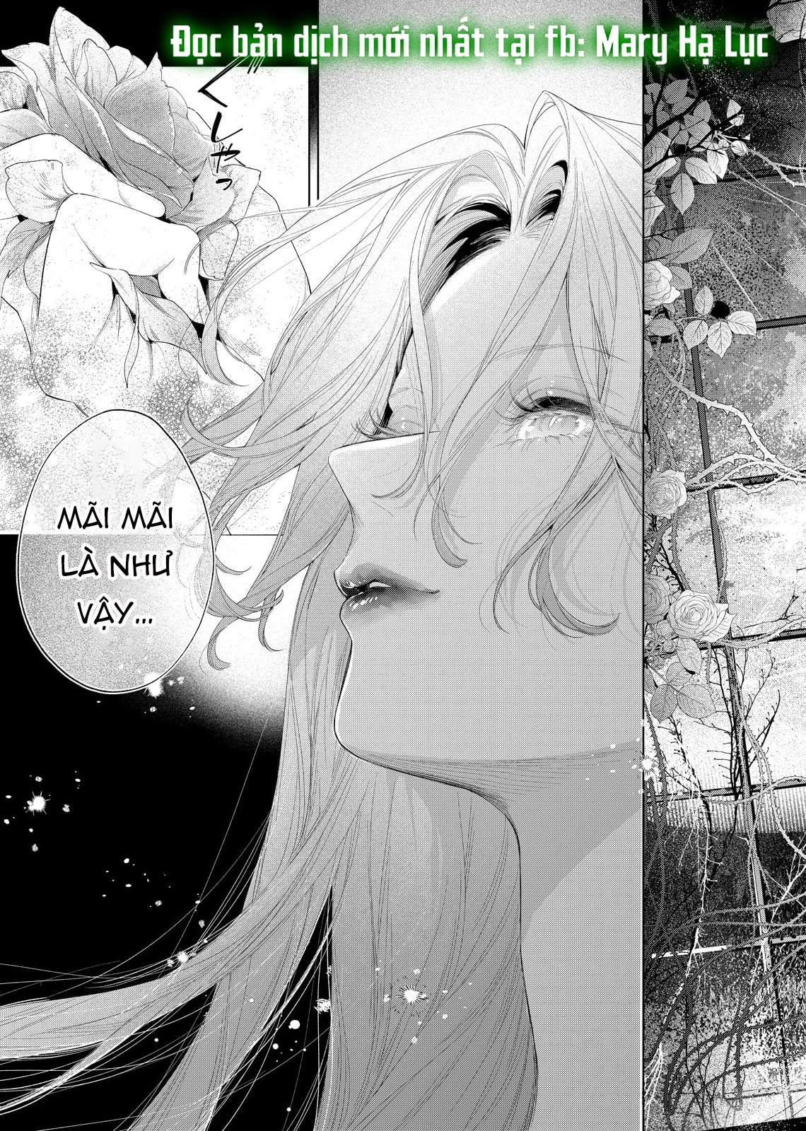 Sao Băng Ẩn Trong Hoa Chapter 31.1 - 11