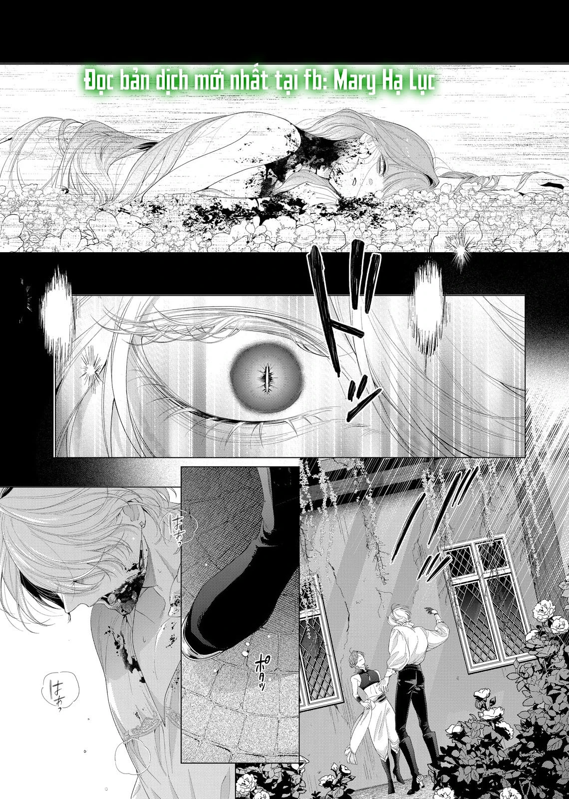 Sao Băng Ẩn Trong Hoa Chapter 32.2 - 16