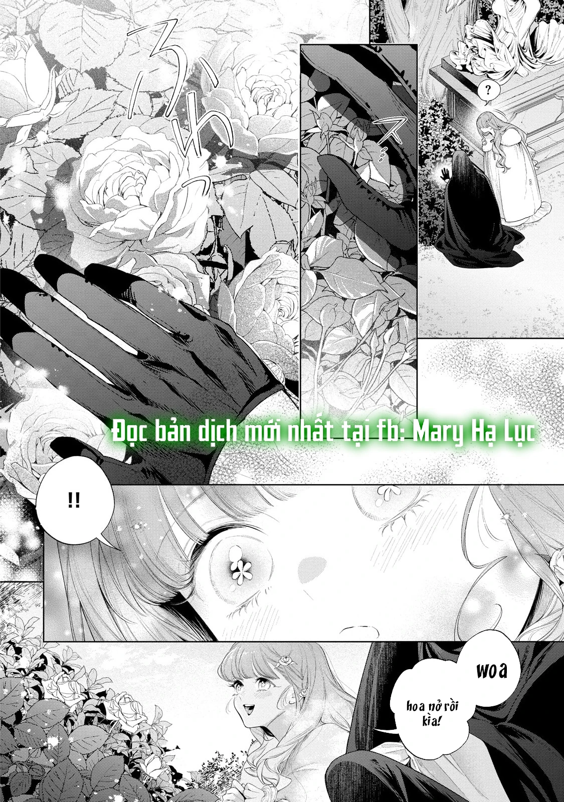 Sao Băng Ẩn Trong Hoa Chapter 34.2 - 12