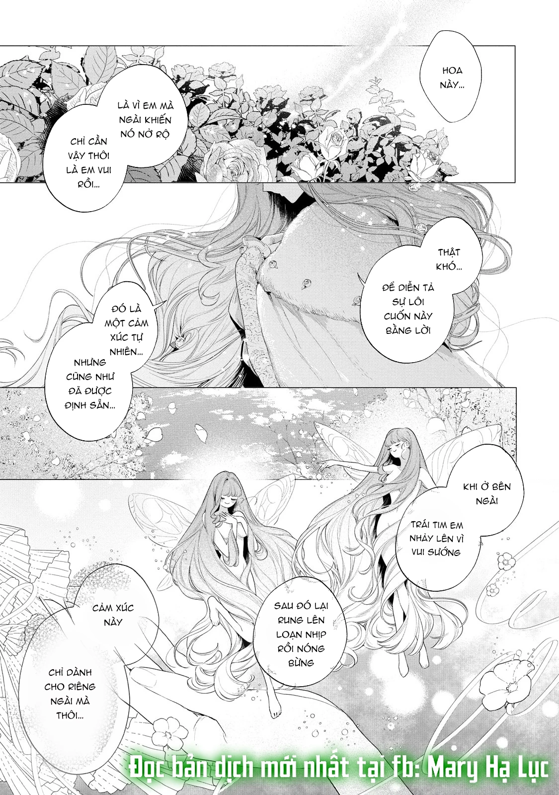 Sao Băng Ẩn Trong Hoa Chapter 34.2 - 19