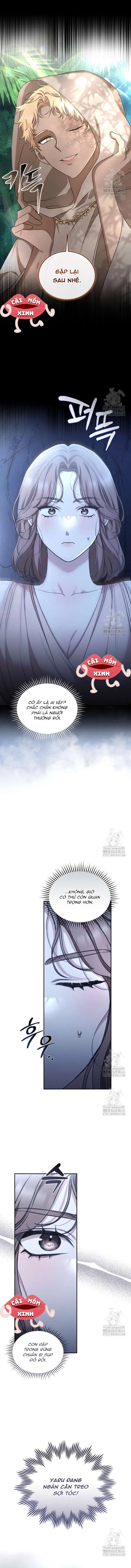 Khu Rừng Hoang Dã Chapter 49 - 6