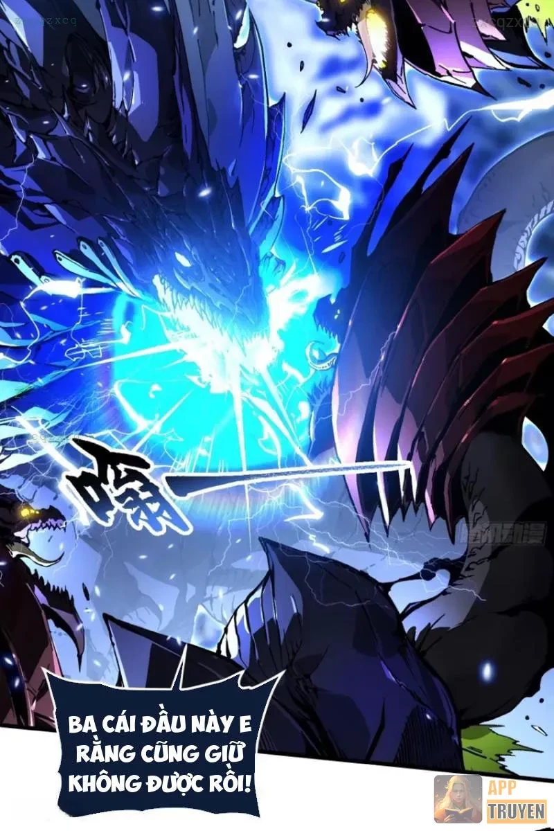 Cao Võ Tiến Hóa: Bắt Đầu Thức Tỉnh Quái Thú Chi Vương Chapter 74 - 11