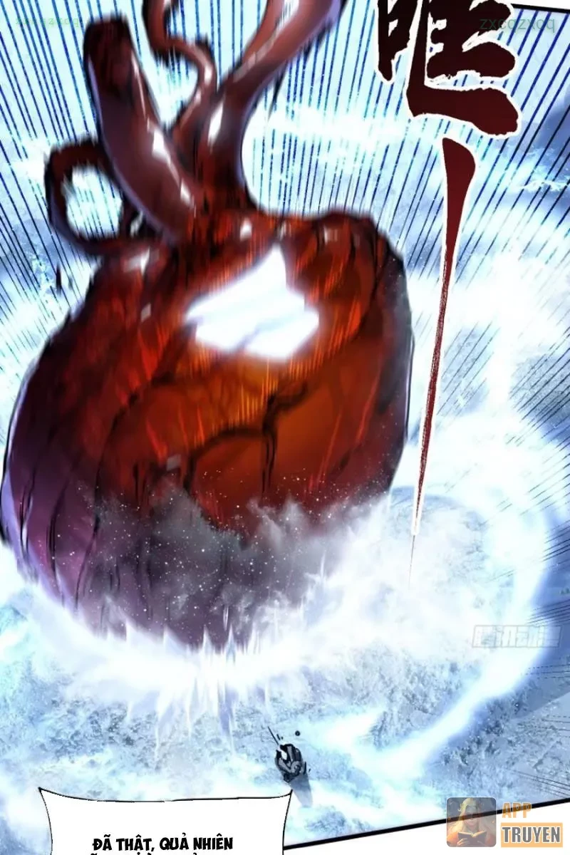 Cao Võ Tiến Hóa: Bắt Đầu Thức Tỉnh Quái Thú Chi Vương Chapter 74 - 20