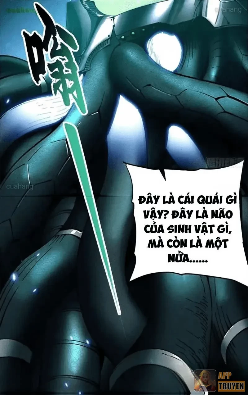 Cao Võ Tiến Hóa: Bắt Đầu Thức Tỉnh Quái Thú Chi Vương Chapter 75 - 24