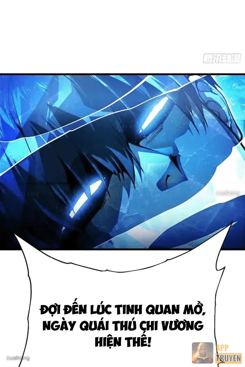 Cao Võ Tiến Hóa: Bắt Đầu Thức Tỉnh Quái Thú Chi Vương Chapter 76 - 12