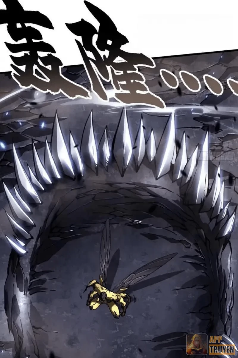 Cao Võ Tiến Hóa: Bắt Đầu Thức Tỉnh Quái Thú Chi Vương Chapter 82 - 5