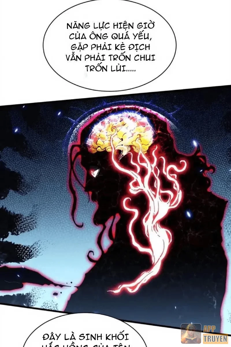 Cao Võ Tiến Hóa: Bắt Đầu Thức Tỉnh Quái Thú Chi Vương Chapter 87 - 33