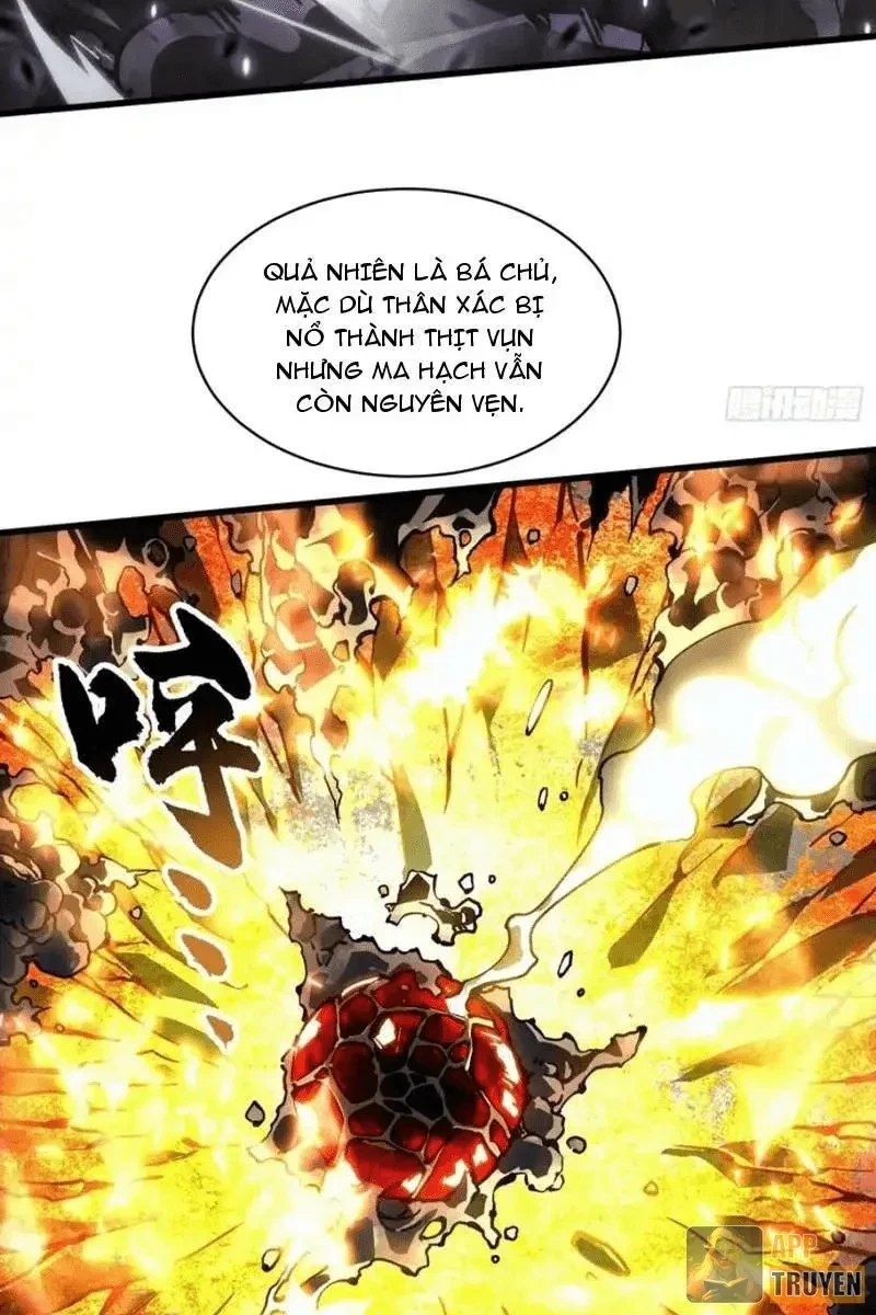 Cao Võ Tiến Hóa: Bắt Đầu Thức Tỉnh Quái Thú Chi Vương Chapter 91 - 13