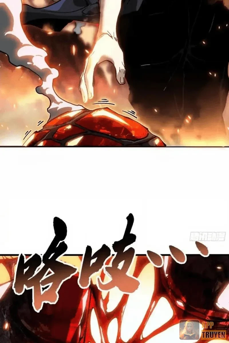 Cao Võ Tiến Hóa: Bắt Đầu Thức Tỉnh Quái Thú Chi Vương Chapter 91 - 15