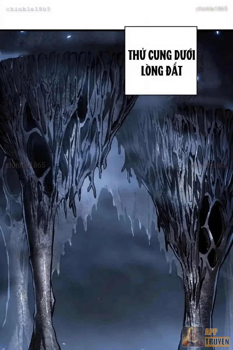 Cao Võ Tiến Hóa: Bắt Đầu Thức Tỉnh Quái Thú Chi Vương Chapter 91 - 35