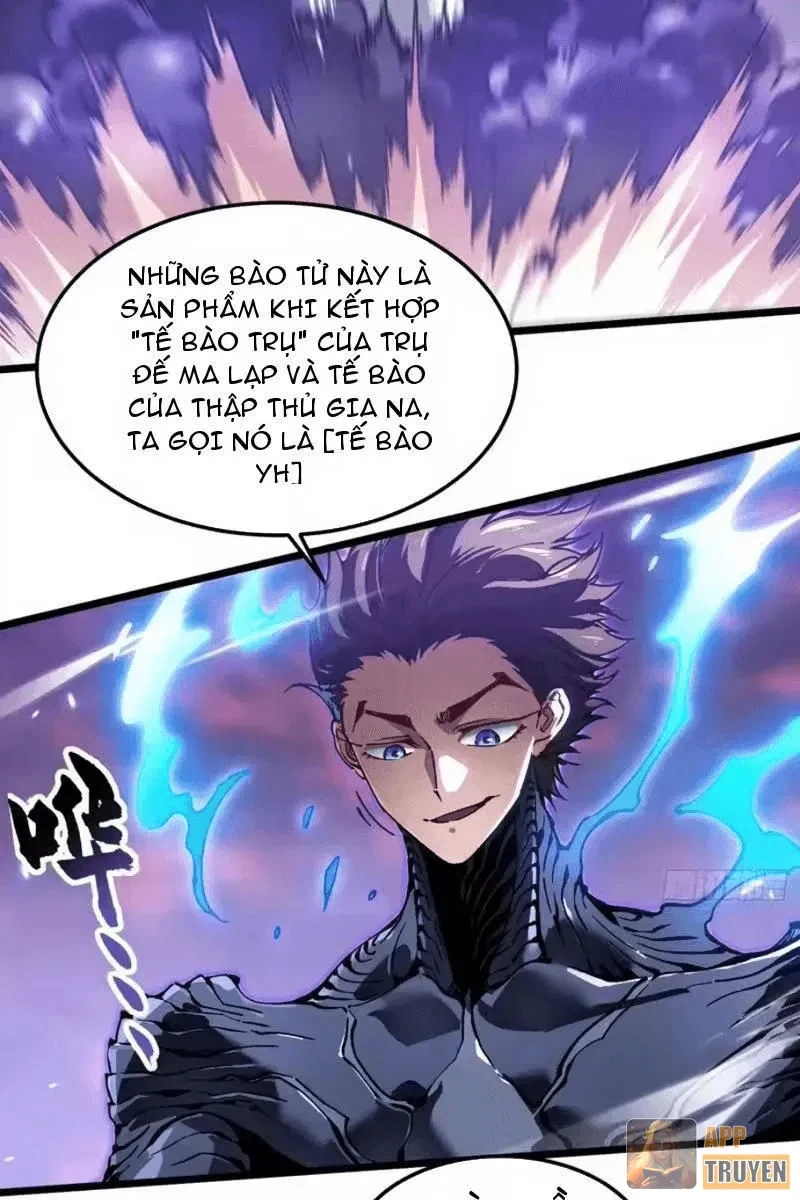 Cao Võ Tiến Hóa: Bắt Đầu Thức Tỉnh Quái Thú Chi Vương Chapter 102 - 12