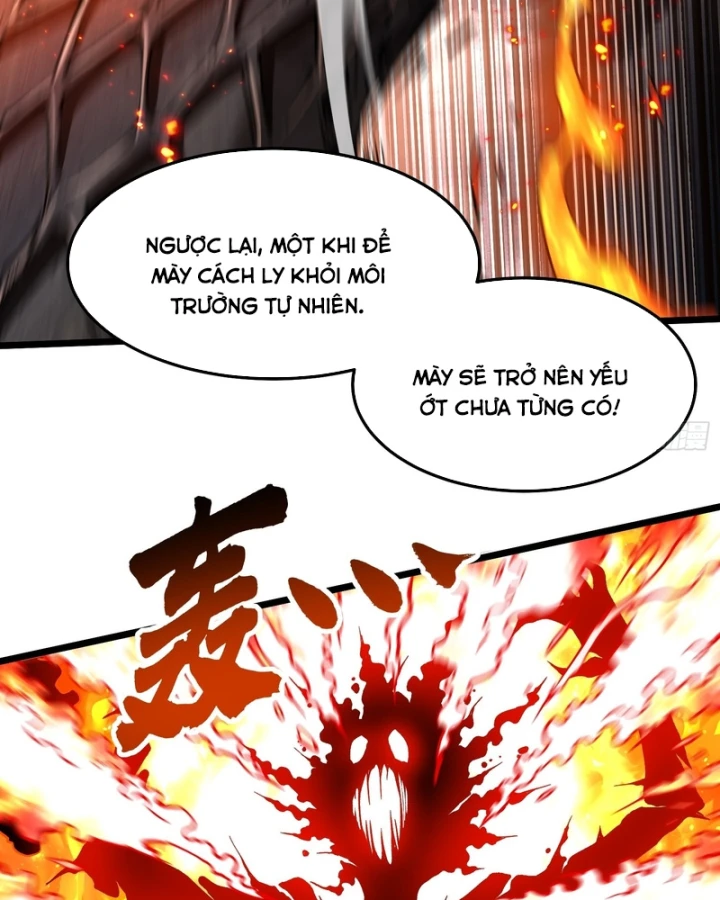 Cao Võ Tiến Hóa: Bắt Đầu Thức Tỉnh Quái Thú Chi Vương Chapter 119 - 10