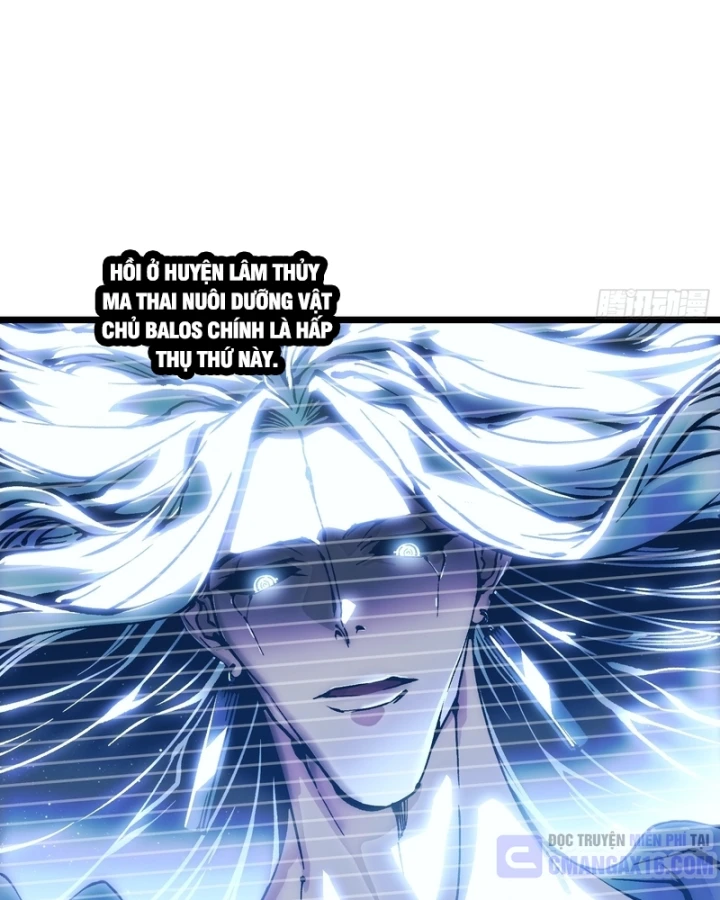 Cao Võ Tiến Hóa: Bắt Đầu Thức Tỉnh Quái Thú Chi Vương Chapter 122 - 30