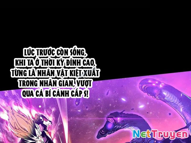 Cao Võ Tiến Hóa: Bắt Đầu Thức Tỉnh Quái Thú Chi Vương Chapter 19 - 126