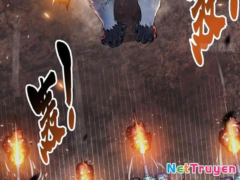 Cao Võ Tiến Hóa: Bắt Đầu Thức Tỉnh Quái Thú Chi Vương Chapter 24 - 116