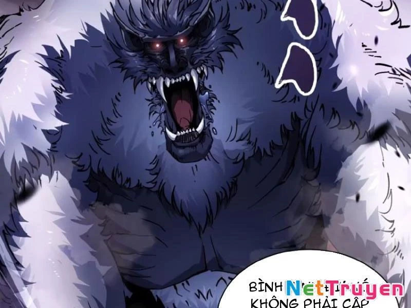 Cao Võ Tiến Hóa: Bắt Đầu Thức Tỉnh Quái Thú Chi Vương Chapter 25 - 16