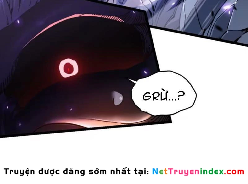 Cao Võ Tiến Hóa: Bắt Đầu Thức Tỉnh Quái Thú Chi Vương Chapter 25 - 44