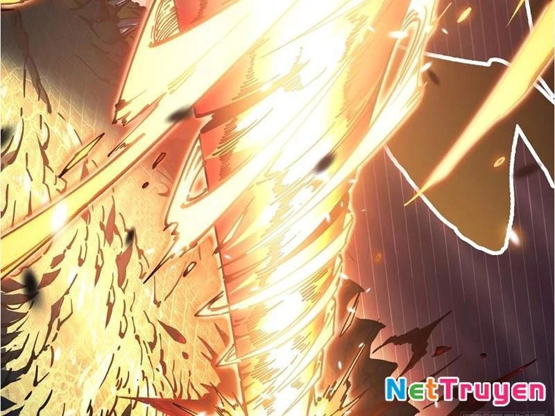 Cao Võ Tiến Hóa: Bắt Đầu Thức Tỉnh Quái Thú Chi Vương Chapter 26 - 81