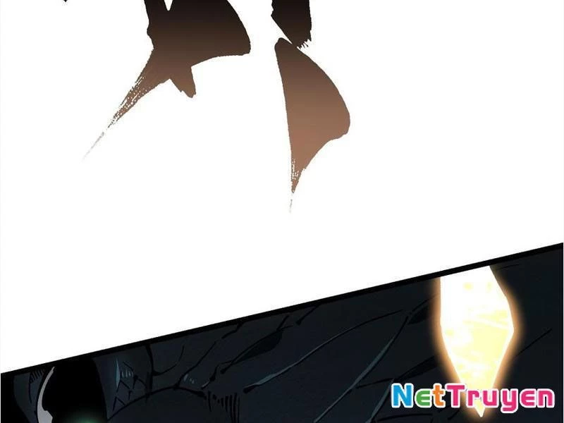 Cao Võ Tiến Hóa: Bắt Đầu Thức Tỉnh Quái Thú Chi Vương Chapter 26 - 116