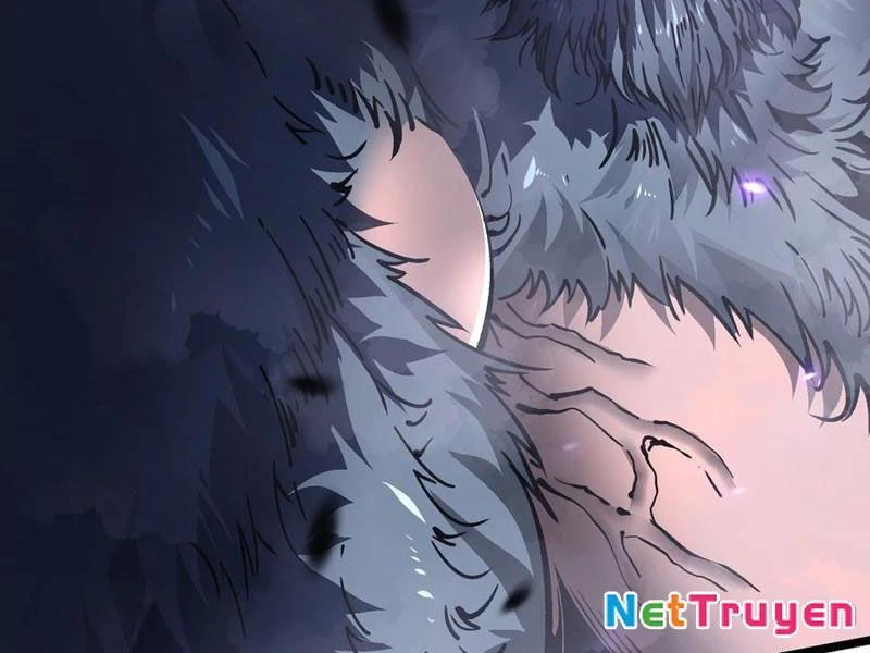 Cao Võ Tiến Hóa: Bắt Đầu Thức Tỉnh Quái Thú Chi Vương Chapter 26 - 146