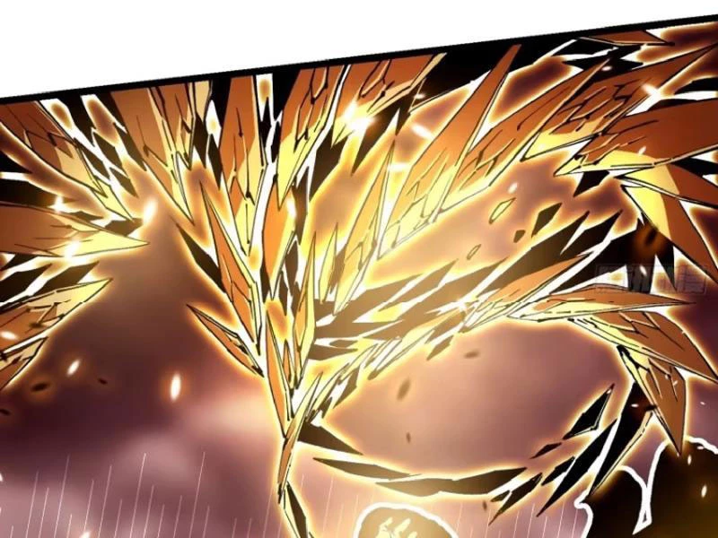 Cao Võ Tiến Hóa: Bắt Đầu Thức Tỉnh Quái Thú Chi Vương Chapter 27 - 8