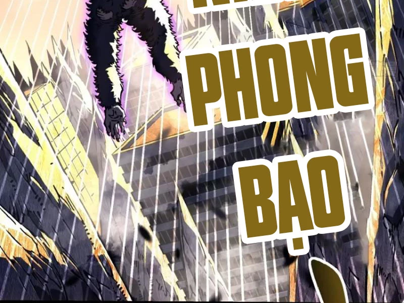 Cao Võ Tiến Hóa: Bắt Đầu Thức Tỉnh Quái Thú Chi Vương Chapter 27 - 14